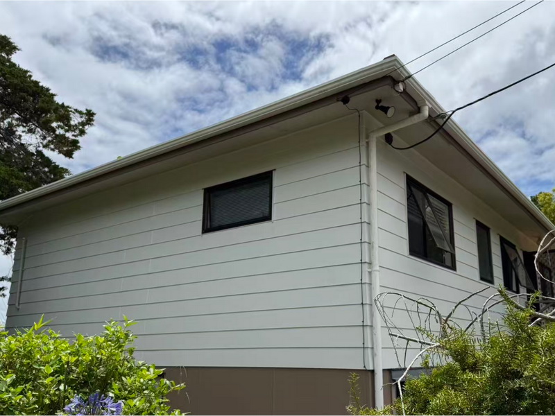 Building Trust Through Excellence: A Client's Journey