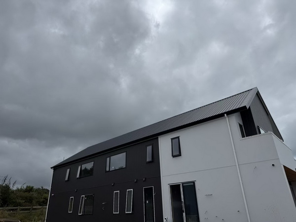 Building Trust Through Excellence: A Client's Journey